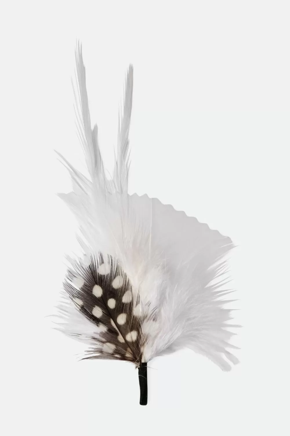 Brixton Hat Feather^Women Hat Accessories | Hat Accessories